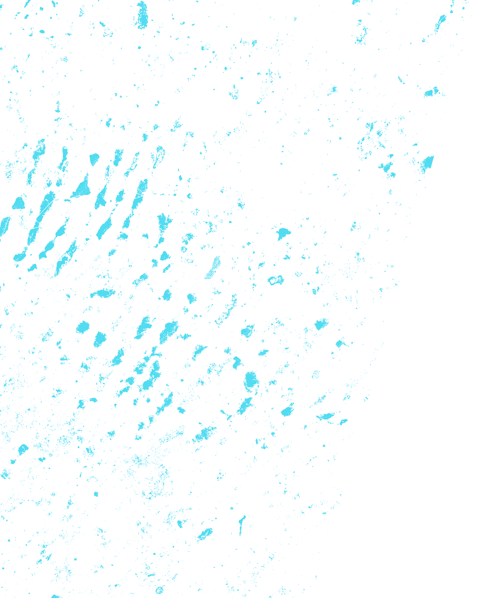 Máscara de agua en superficie detectada por radar Sentinel-1 sobre el oeste bonaerense (9 de Julio y Carlos Casares), 15 de marzo de 2025: solo las lagunas permanentes en cian, los campos todavía secos.