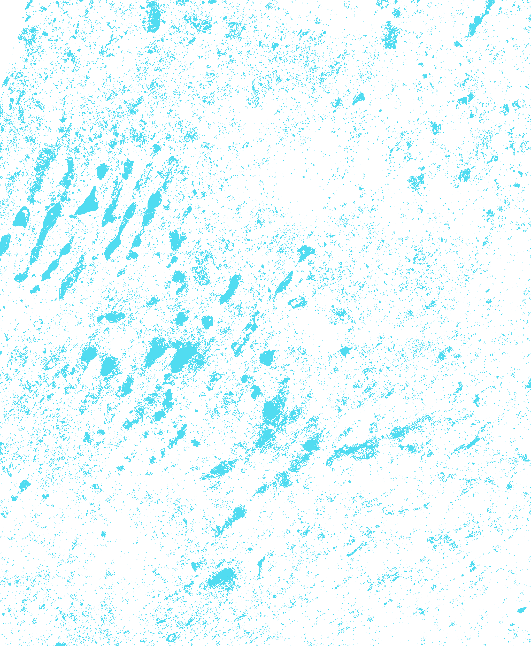Máscara de agua en superficie detectada por radar Sentinel-1 sobre el oeste bonaerense (9 de Julio y Carlos Casares), 6 de septiembre de 2025: lagunas y campos anegados en cian sobre fondo oscuro.